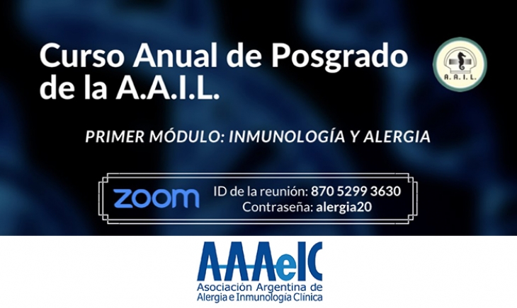 Curso Anual de Posgrado AAIL