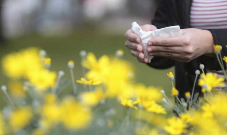 Prensa y difusión de nuestra Red de Pólenes