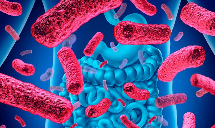 ¡Nuevo Comité Científico!